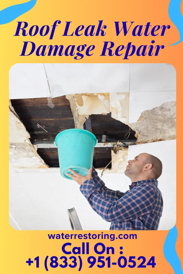 Roof Leak Water Damage Repair in Adrian, OR